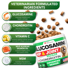 Vet Promise Advanced Glucosamine for Dogs joint-support closeup highlighting cartilage care.