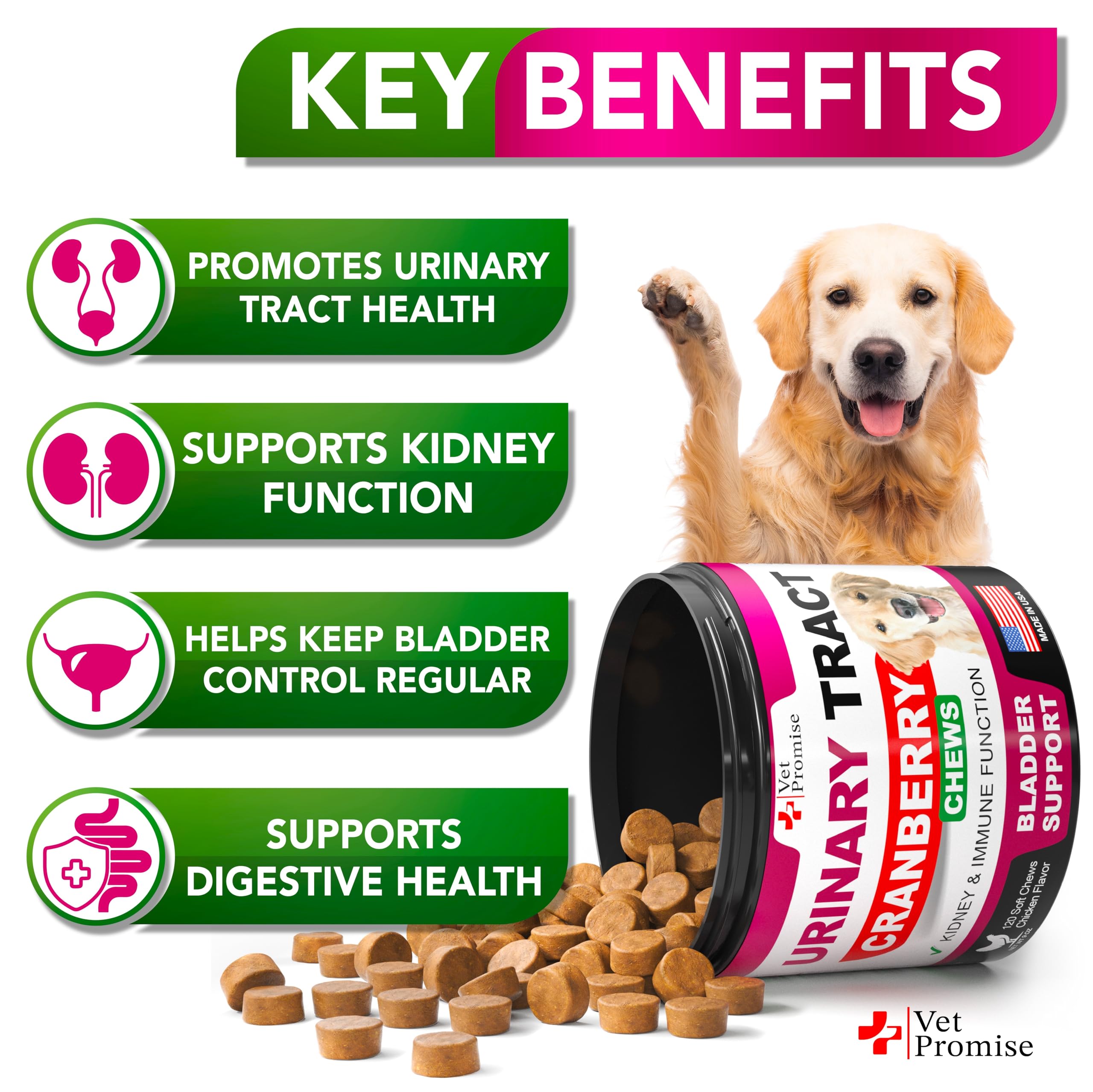 Vet Promise cranberry dog chews closeup for bladder health and daily wellness