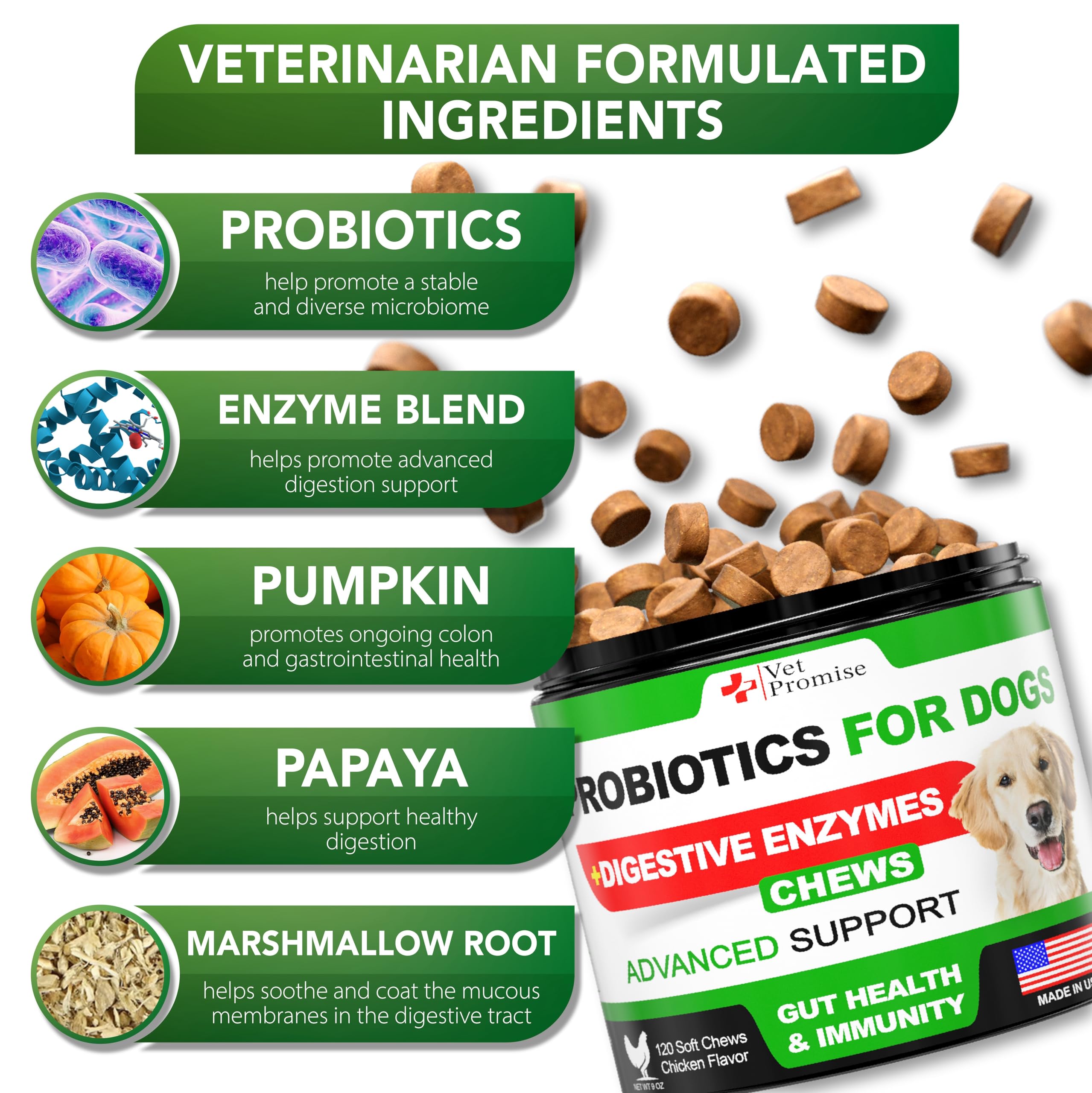 Vet Promise digestive enzymes bottle demonstrates premium ingredients for balanced gut comfort.