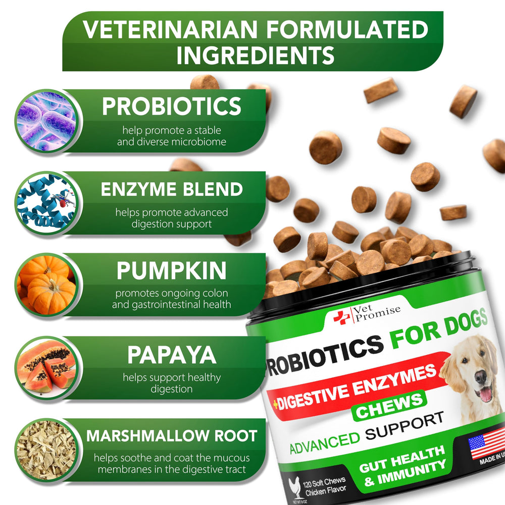 Vet Promise digestive enzymes bottle demonstrates premium ingredients for balanced gut comfort.