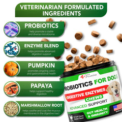 Vet Promise digestive enzymes bottle demonstrates premium ingredients for balanced gut comfort.