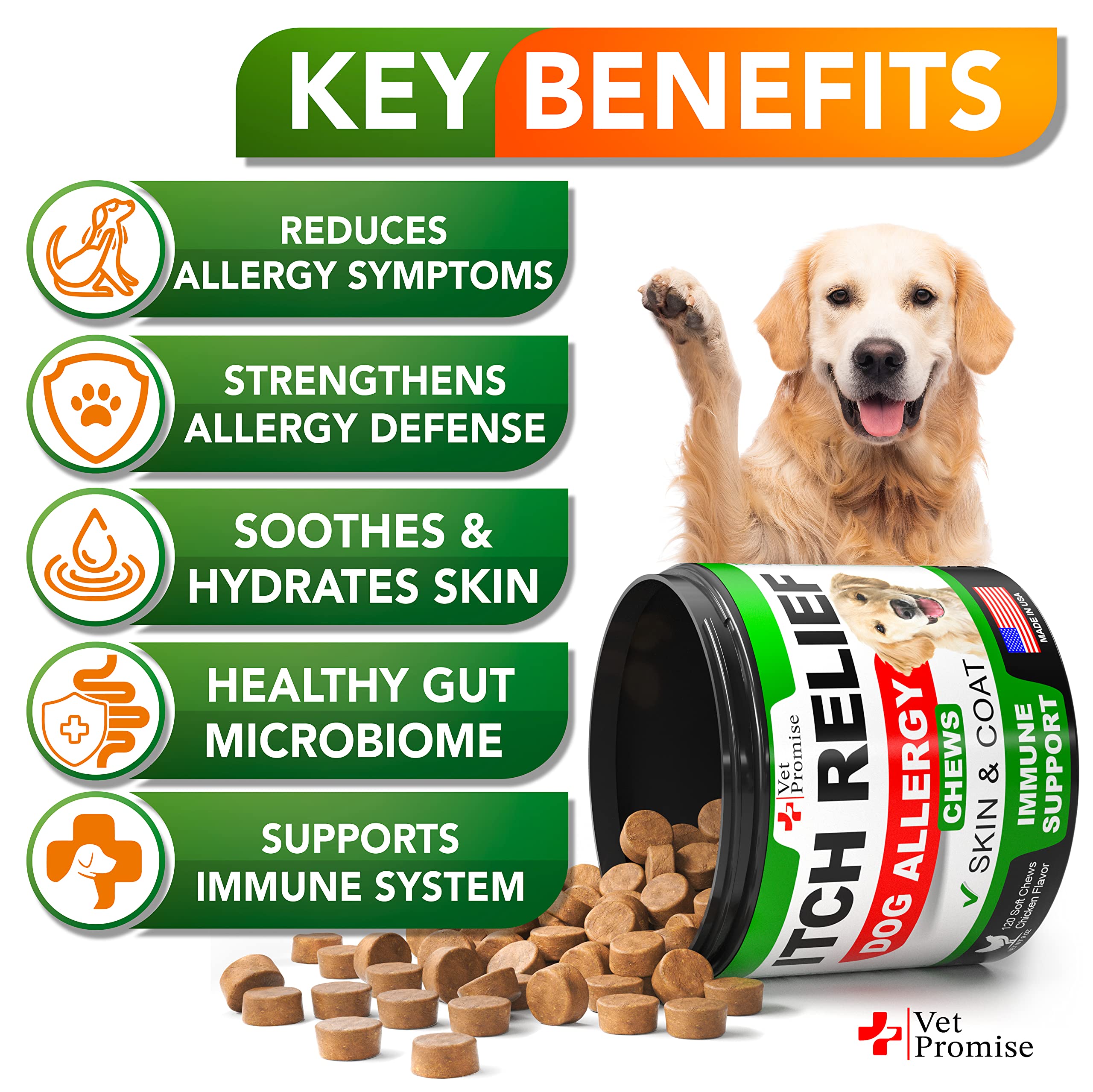 Vet Promise Dog Allergy Relief Chews treats; holistic itch relief potential.