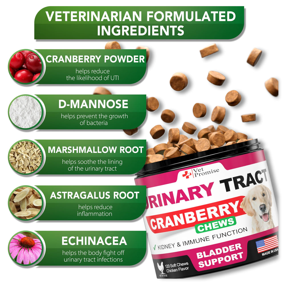 Vet Promise dog bladder health treats for daily-use chews and wellness
