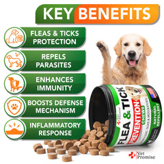 Vet Promise dog chewables close-up tablet texture demonstrates easy daily dosing for all breeds