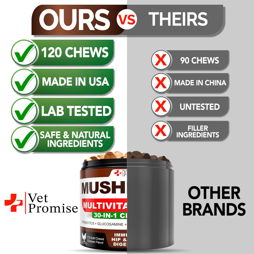 Vet Promise Turkey Tail chews in a dog bowl suggest daily immune and vitality support.