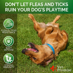 Vet Promise dog chews texture close-up highlights natural ingredient-rich chews