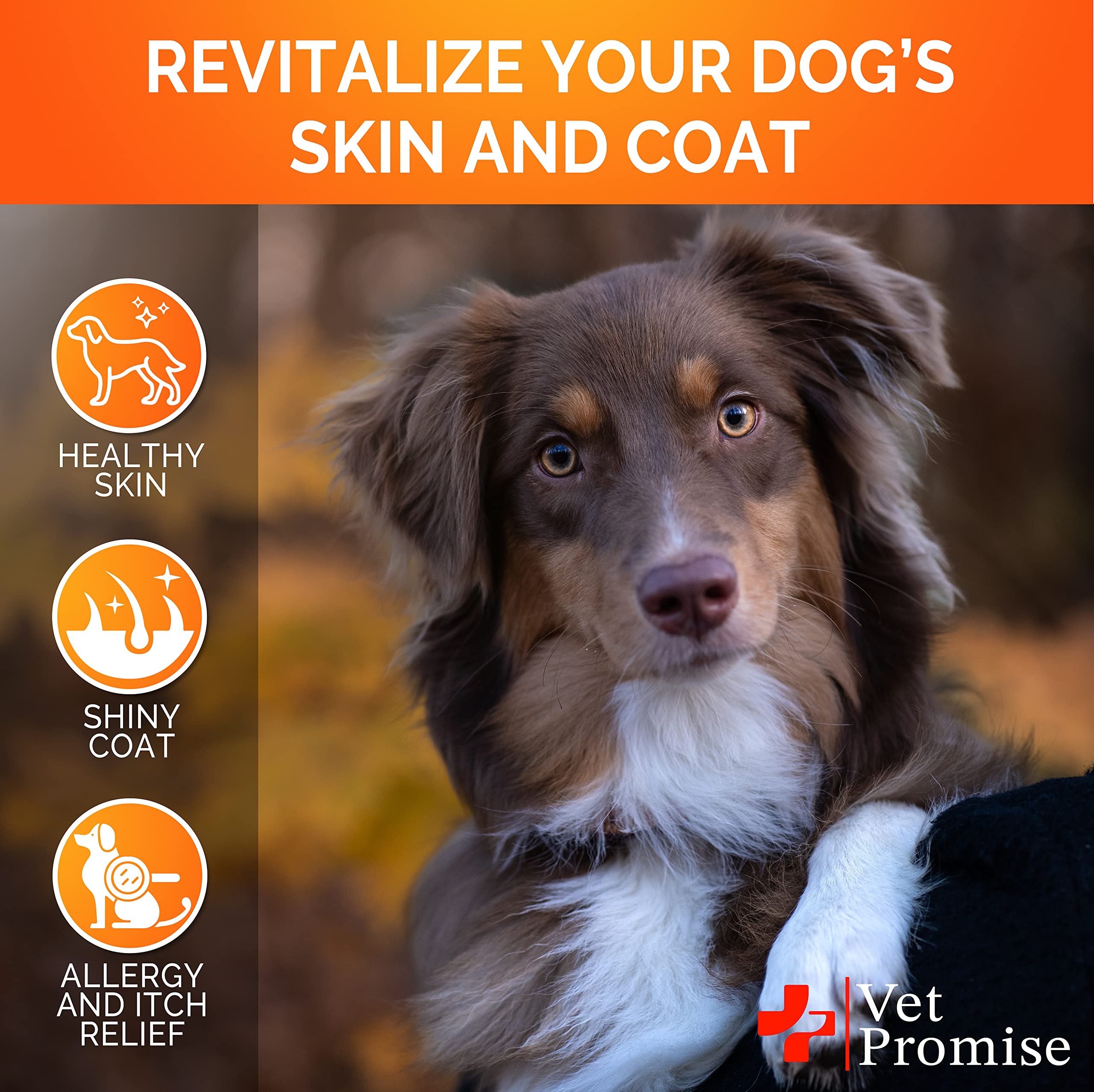 Vet Promise dog itch relief hot spots shows calming potential on skin.
