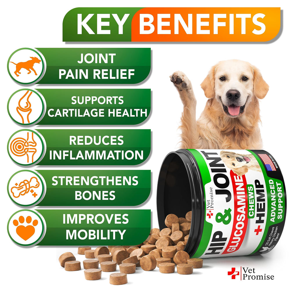 Vet Promise dog joint supplement closeup highlights brand formula for mobility support