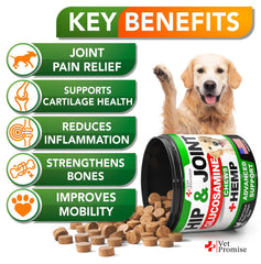 Vet Promise dog joint supplement closeup highlights brand formula for mobility support