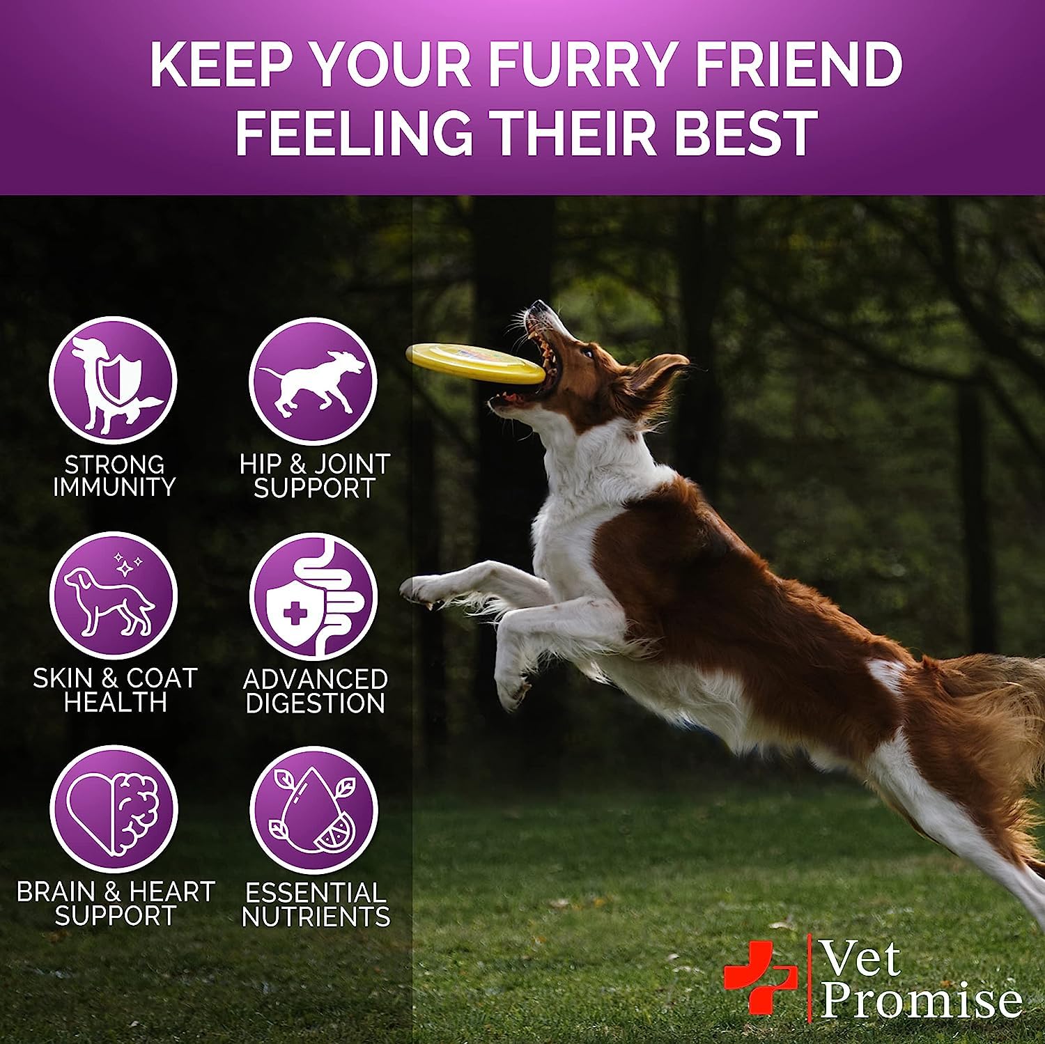 Vet Promise glucosamine dog multivitamin hip joint image signals mobility support