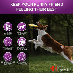 Vet Promise glucosamine dog multivitamin hip joint image signals mobility support