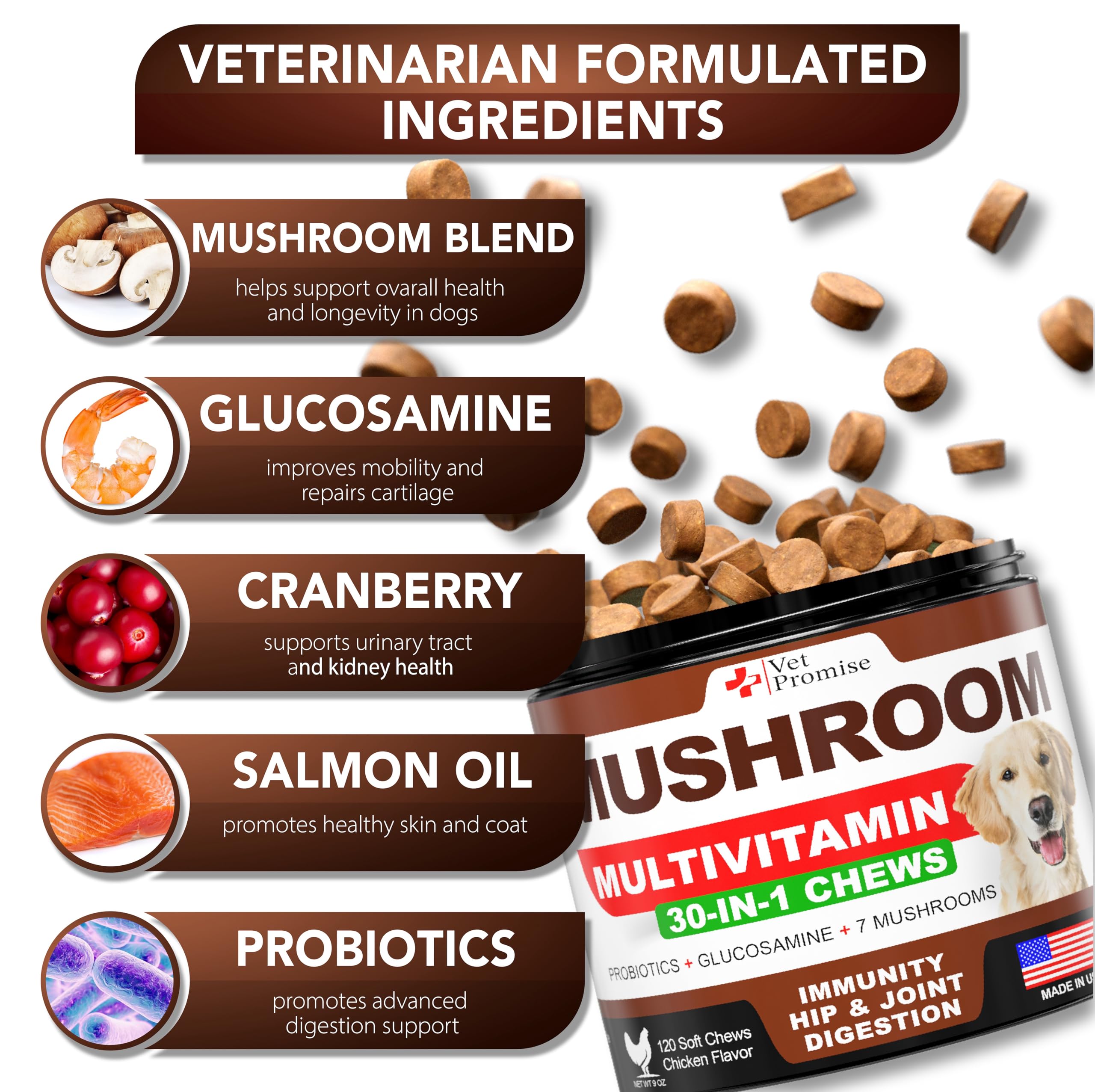 Vet Promise Mushroom for Dogs Lions Mane image highlighting energy and brain-friendly support
