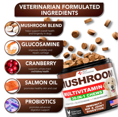 Vet Promise Mushroom for Dogs Lions Mane image highlighting energy and brain-friendly support