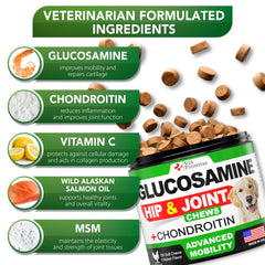 Vet Promise Glucosamine for Dogs 120 chews packaging notes Made in USA