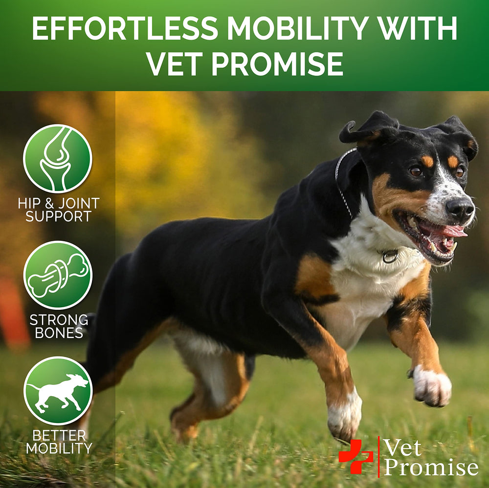 Vet Promise Glucosamine chews in a dog bowl during mealtime for easy administration