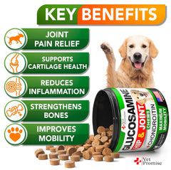 Vet Promise glucosamine dogs chews for everyday mobility
