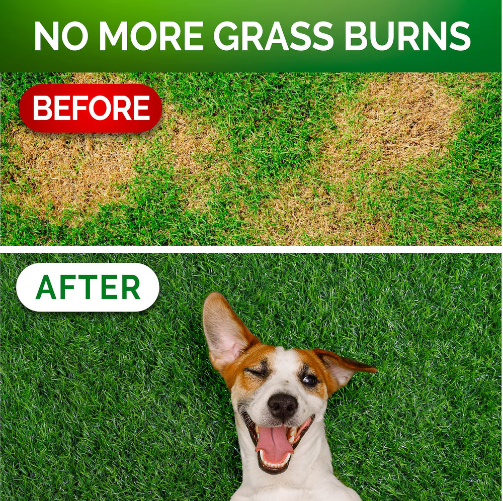 Vet Promise Grass Burn Chews closeup communicates palatable probiotic support for dogs and lawn health.