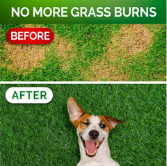 Vet Promise Grass Burn Chews closeup communicates palatable probiotic support for dogs and lawn health.