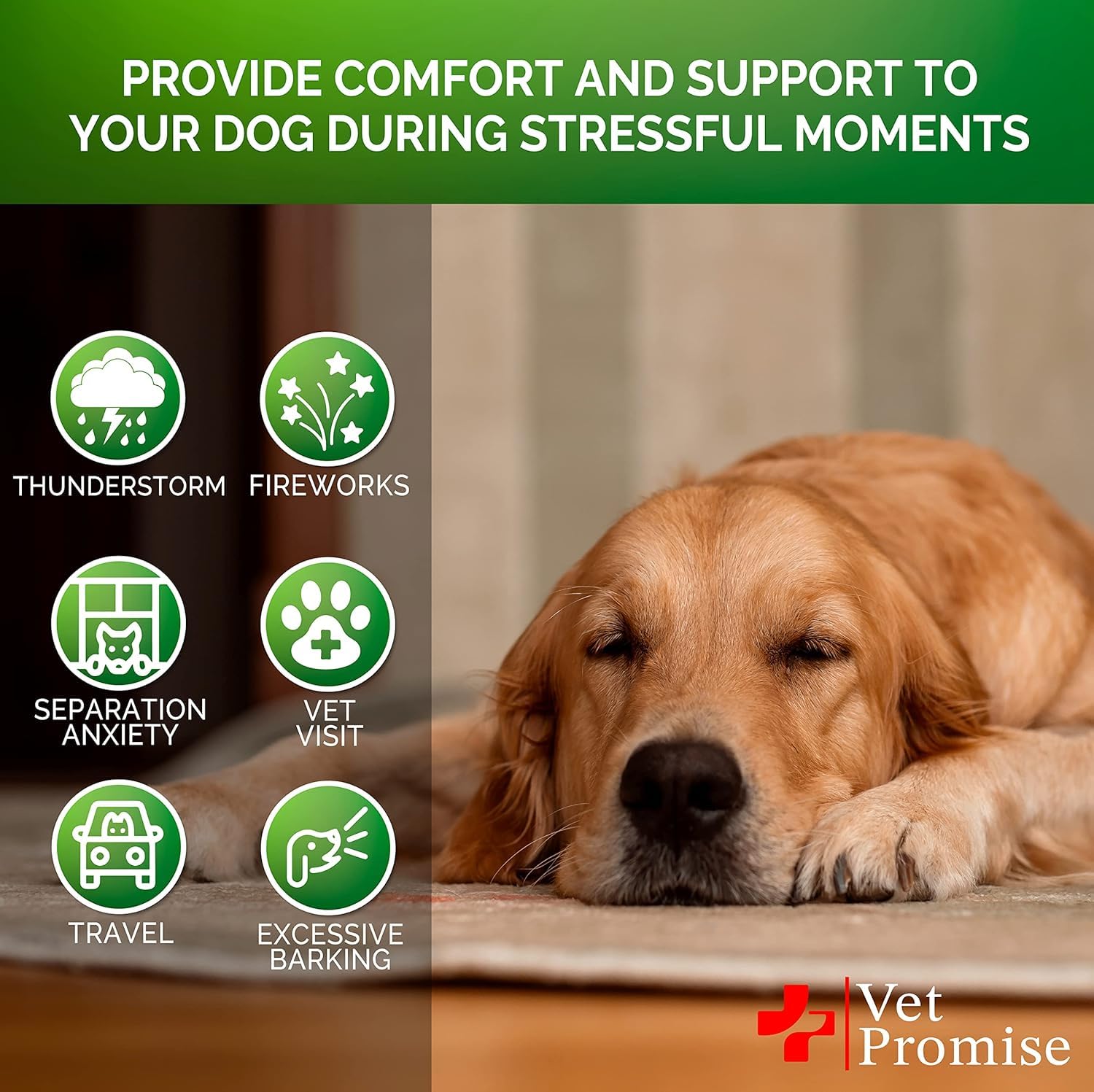 Vet Promise melatonin chews support relaxed behavior during stressful events.