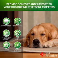 Vet Promise melatonin chews support relaxed behavior during stressful events.
