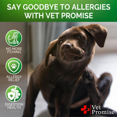 Vet Promise omega-3 fish oil label suggests skin nourishment and potential itch support.