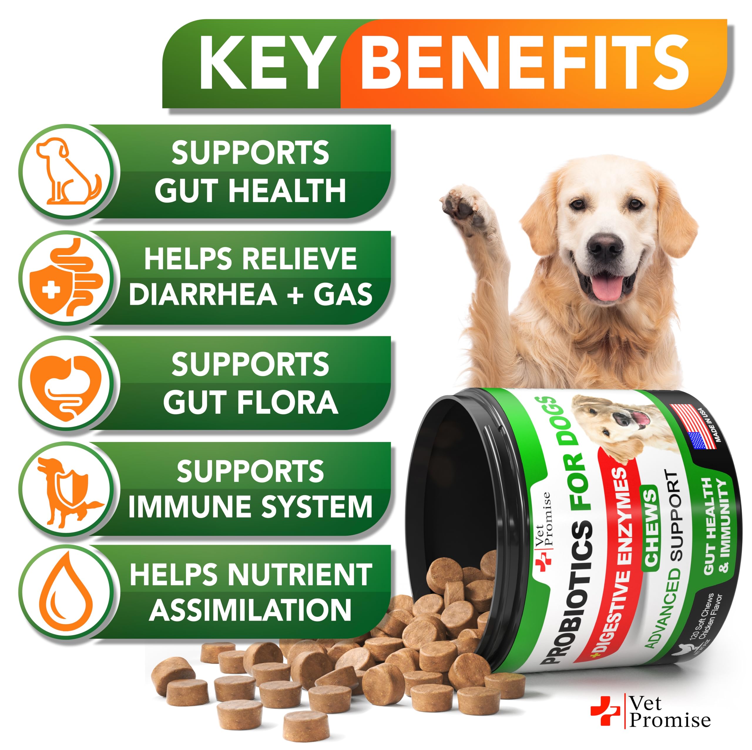 Vet Promise dog probiotics chews closeup shows texture and daily digestive support.