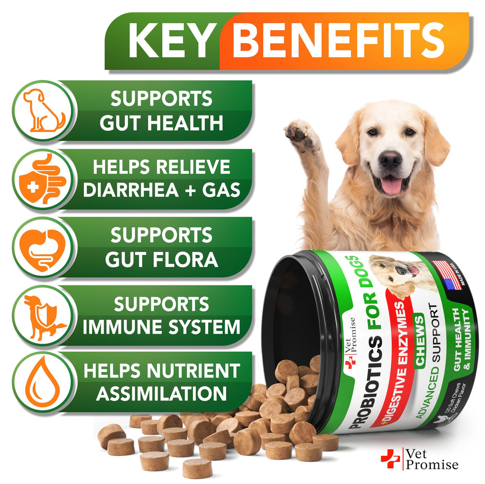 Vet Promise dog probiotics chews closeup shows texture and daily digestive support.