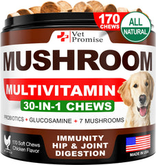 Vet Promise Turkey Tail dog chews bottle highlights immune support and joint health.
