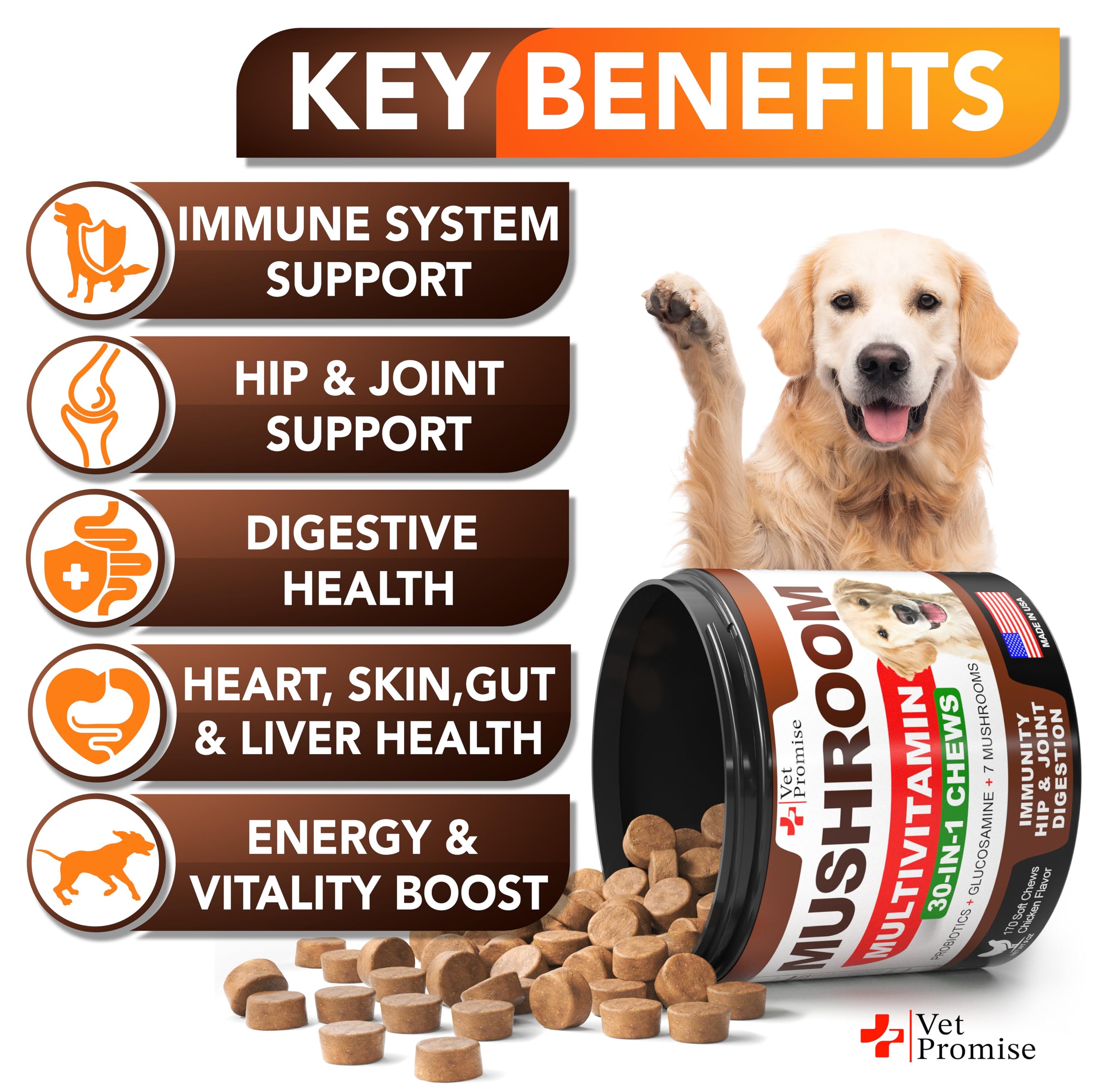 Vet Promise mushroom blend label shows Lions Mane and Reishi for overall wellbeing.