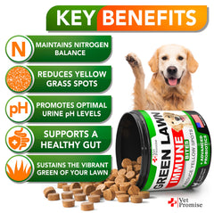 Vet Promise Urinary health benefit visual shows treats aiding balanced urination and lawn health.