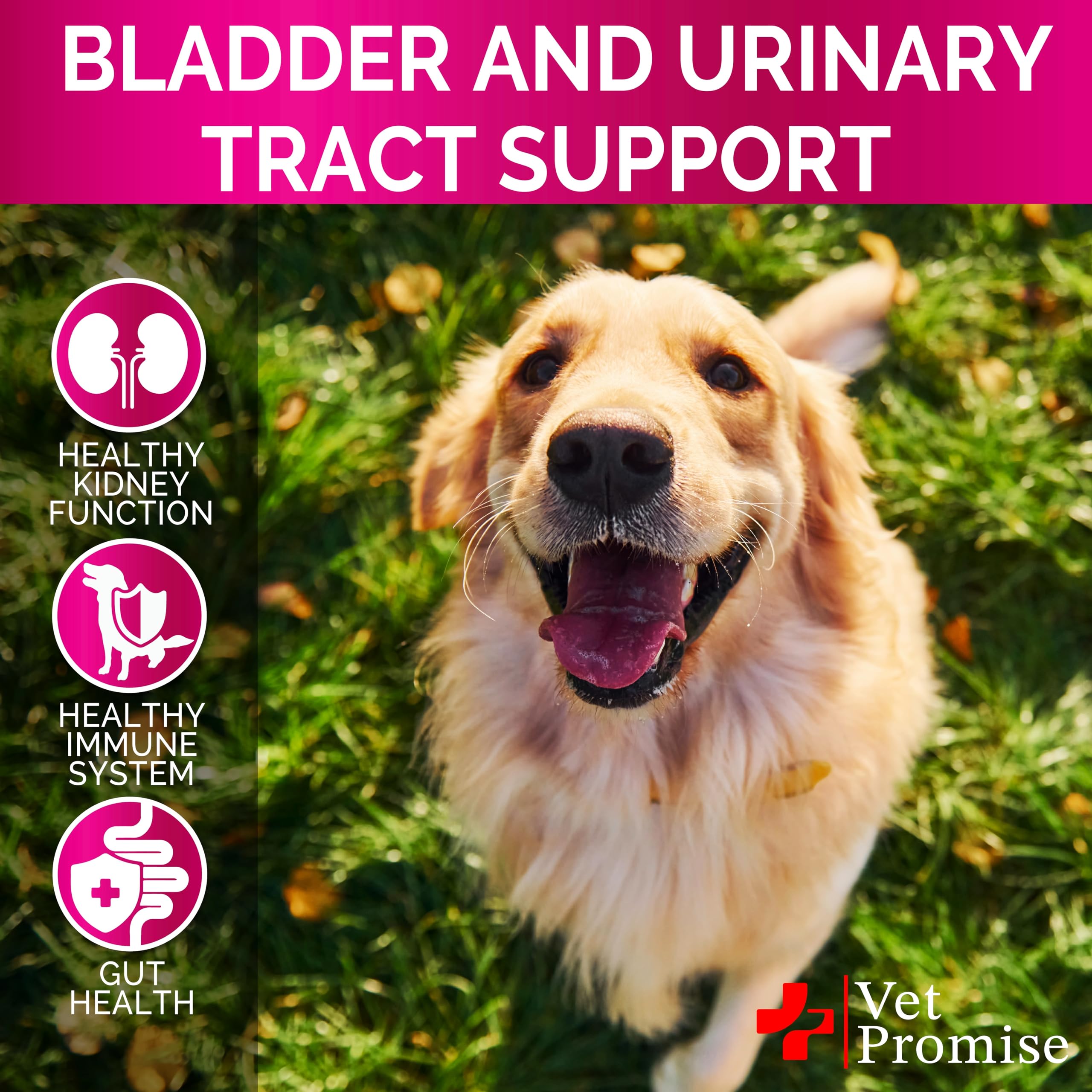 Vet Promise usa-made vet-formulated facility label indicates quality standards