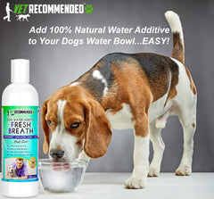 Vet Recommended clear-liquid dog dental care pour demonstrates purity and easy mixing for routine care.