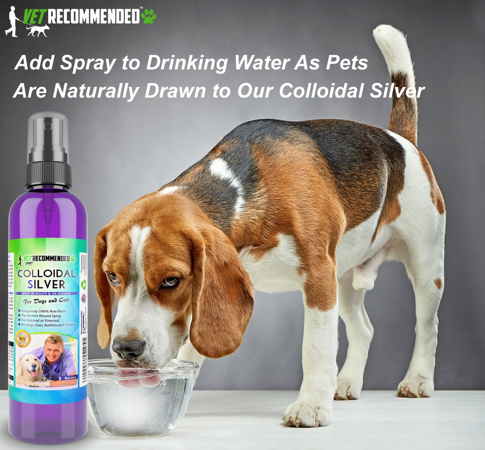 Vet Recommended colloidal silver wound care for paws.