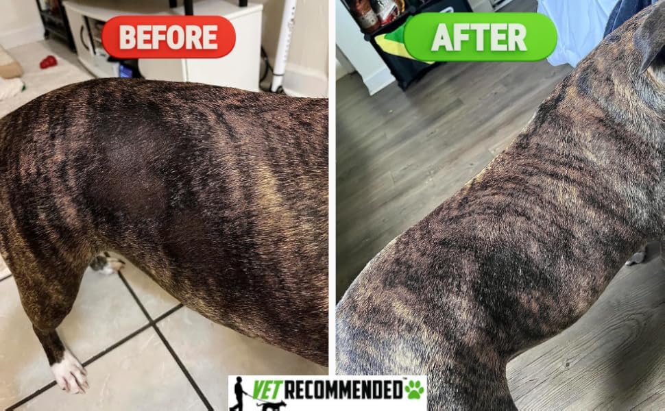 Eco-friendly packaging of Vet Recommended dog dry skin cream