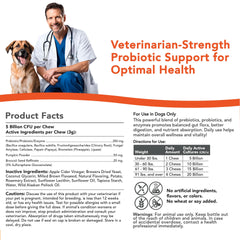 VetSmart Formulas Critical Digestive Soft Chews eating scene shows tasty daily supplement for dogs.