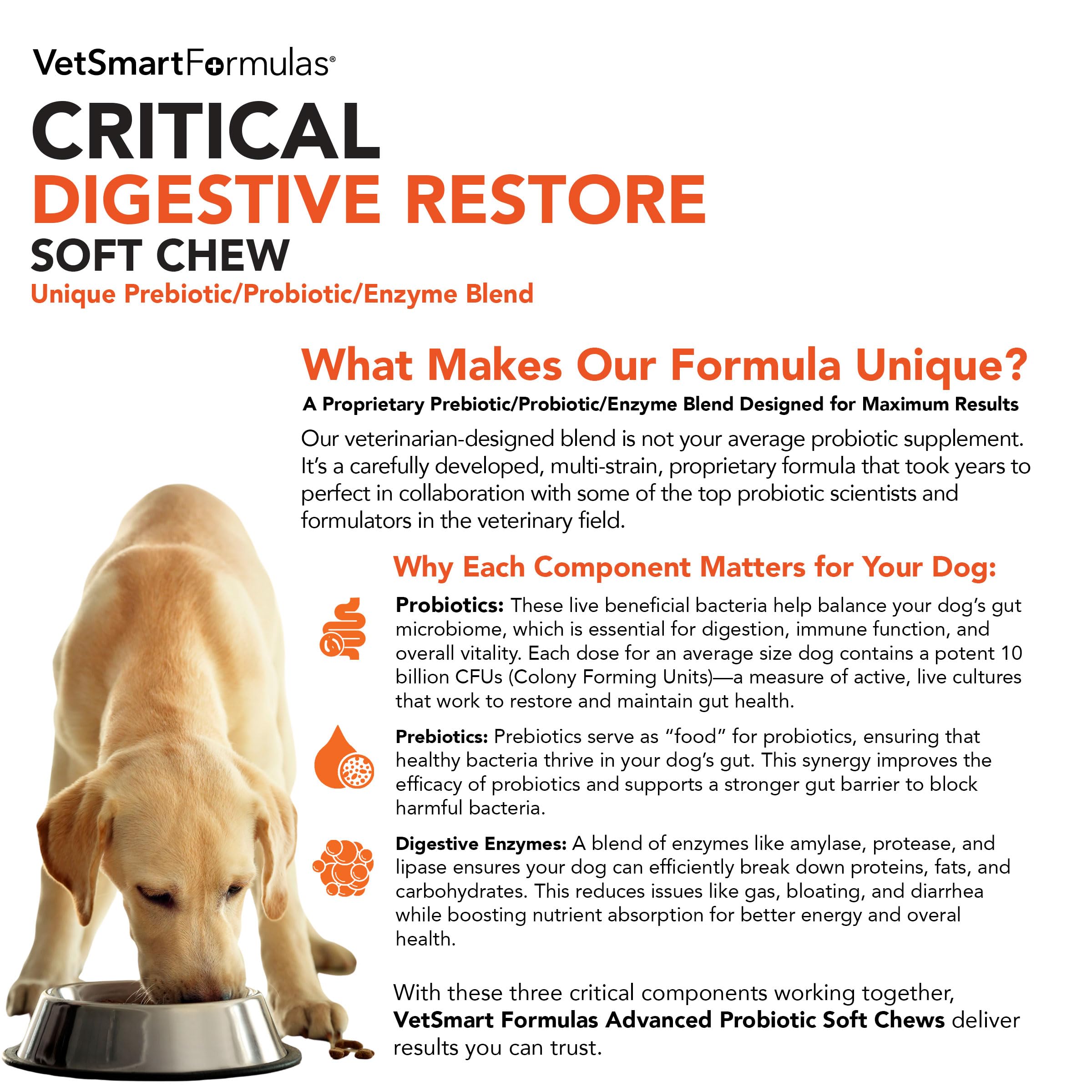 VetSmart Formulas Critical Digestive Soft Chews serving image suggests easy daily dosing.