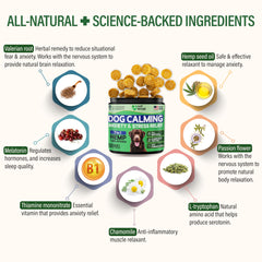 Vet Treat dog relaxes during thunder scene using calming chews