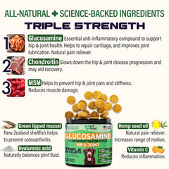 Vet Treat MSM turmeric hemp oil dogs chews bag shows natural joint support ingredients.