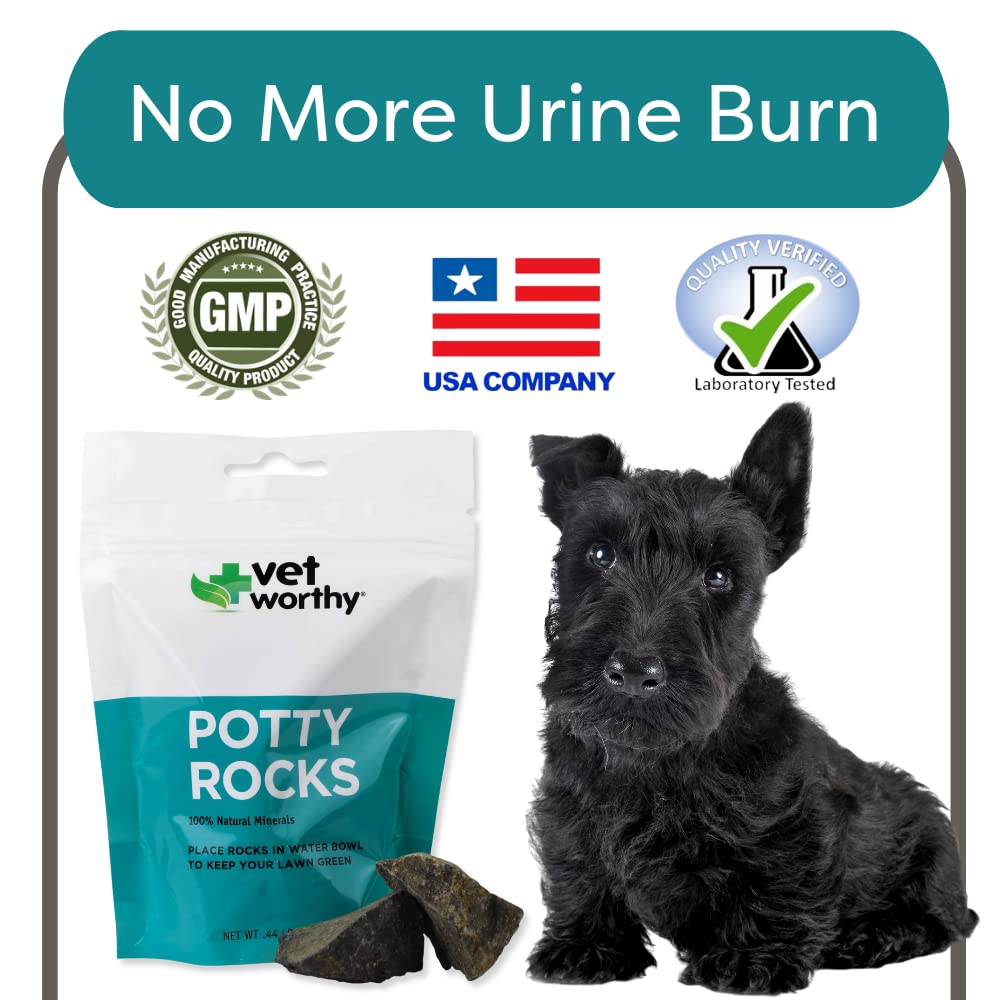 Vet Worthy Potty Rocks dog-in-yard: safe for all breeds and ages.