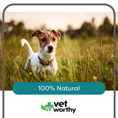 Vet Worthy Potty Rocks rock-closeup: paramagnetic igneous rocks with cleansing potential.