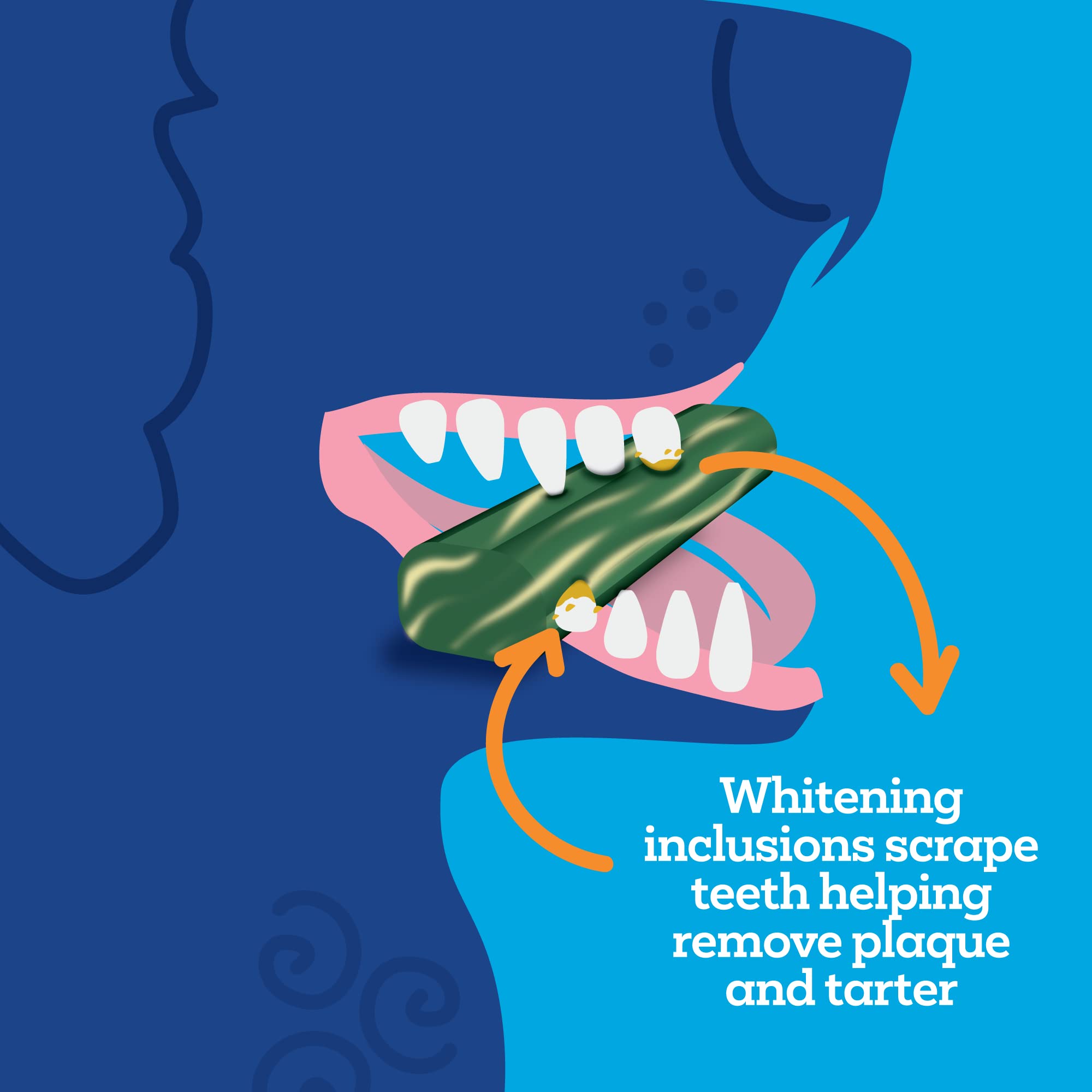 Close-up of 30-count Vetality box beside a smiling dog