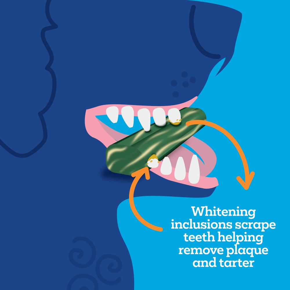 Close-up of 30-count Vetality box beside a smiling dog