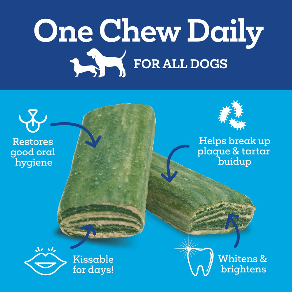 Vetality daily dental chews close-up showing texture designed to clean teeth