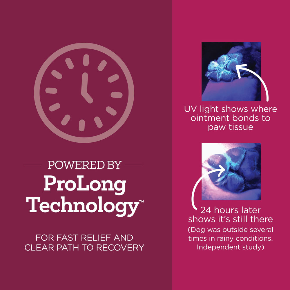 Dog paw with Vetality ointment applied indicating healing area.