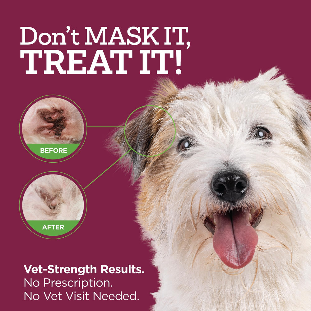 Vetality ear drops application on dog ear showing gentle use