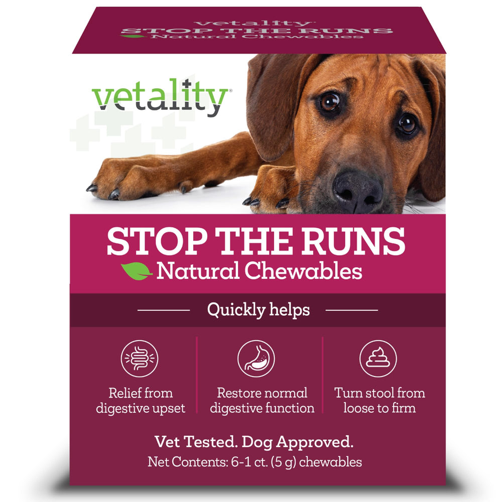 Vetality Stop The Runs bottle front view showing dog-friendly gut support