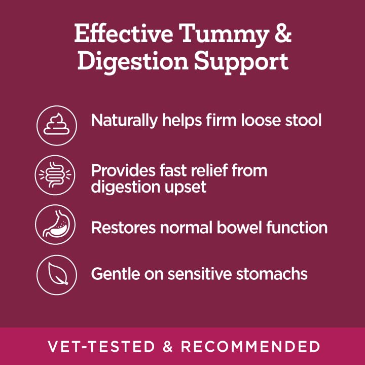 Dog enjoys Vetality Stop The Runs chew as a tummy-friendly treat