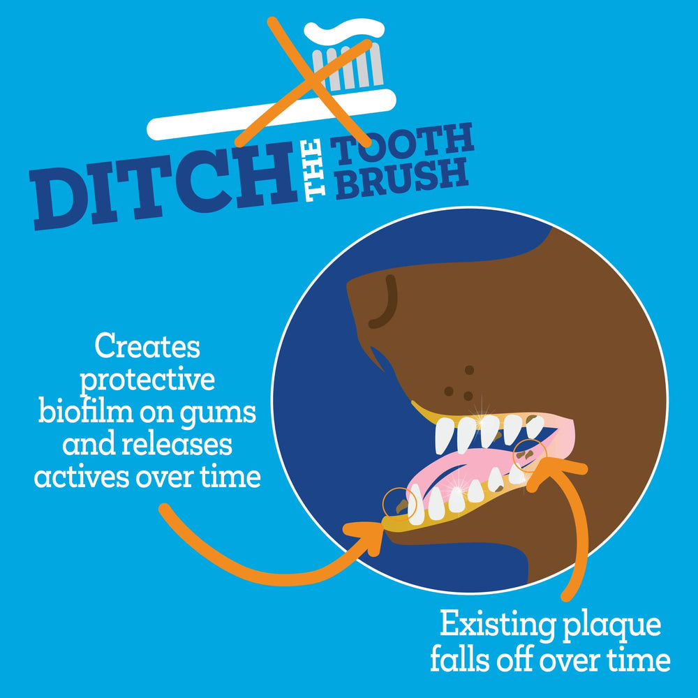 Vetality Twist + Lick dental gel easy-uses demonstrates brush-free application.