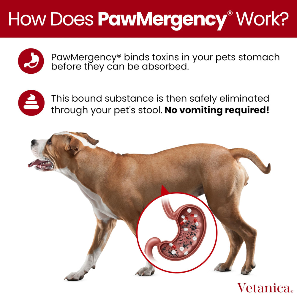 Vetanica PawMergency easy administration being applied into mouth