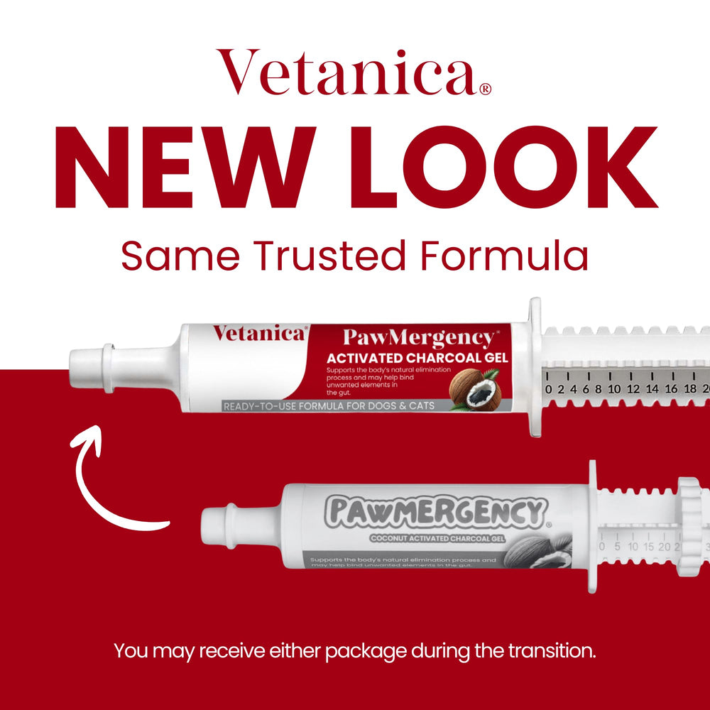 Vetanica PawMergency package in car for travel ready toxin protection